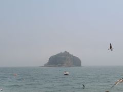-棒棰岛宾馆景区