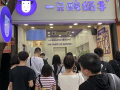 等位区-一只酸奶牛(八一路店)