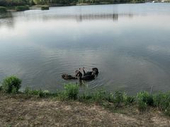-江南大学(蠡湖校区)