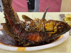 挣蹦鲤鱼-奥华餐厅·老张记(台基厂店)