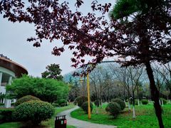 -洪湖悦兮半岛国际温泉度假村