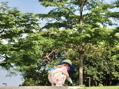 -光明小镇欢乐田园