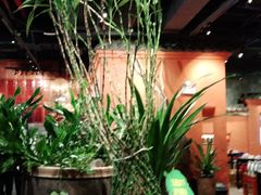 -老客家·客家菜(万达店)