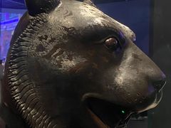 -广西壮族自治区博物馆