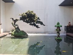 -觀芷隐轩
