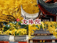 -青羊宫