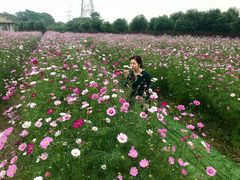 -紫颐香薰山谷景区