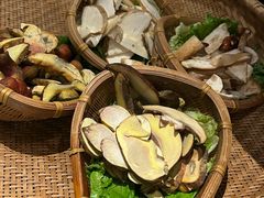 -滇野云南野生菌餐厅(陕西南路店)