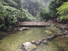 -鼎湖山风景区