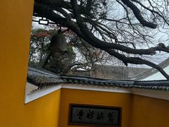 -普陀山慧济禅寺