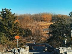 -大兴滨河森林公园