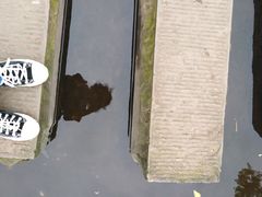 -重庆彩云湖湿地公园
