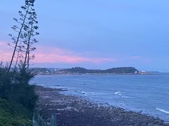 -漳州滨海火山岛自然生态风景区