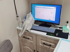 -派特宠物医院(海岸城店)