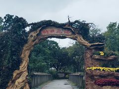 -江苏三台山国家森林公园