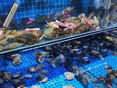 -前王院•巧克力海鲜市集餐厅(万平口店)