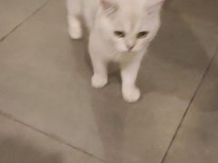 -梵猫·新养生(福州万象城店)