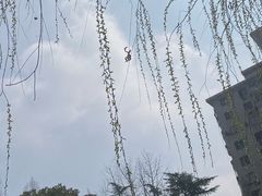 -兰溪青年公园