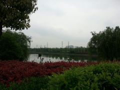 android_upload_pic-羊山湖公园