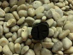 -健身浴池(站前街店)