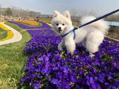 -南通洲际绿博园