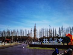 -黄海国家森林公园