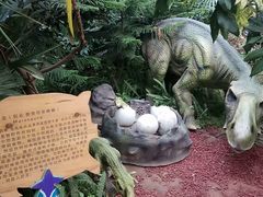 -北京呀路古热带植物园