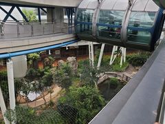 -新加坡摩天观景轮