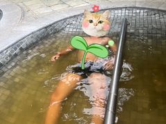-碧水湾温泉