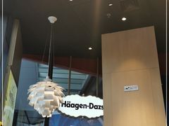 -哈根达斯(龙湖时代天街店)