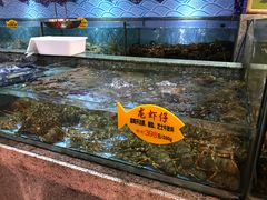 -快乐海鲜城(虎泉街店)