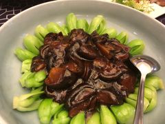 -上海安亭别墅花园酒店