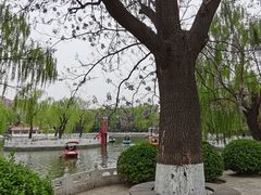 -丰台花园