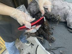 -四月宠物医院·猫专科·心脏专科·内科(转塘店)