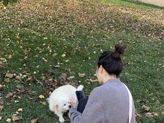 -意大利农场度假村