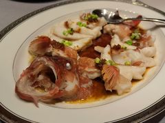 古法蒸东星斑-东富酒家(龙湖西溪天街店)