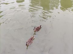 -海珠湖公园