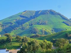 -帐篷客·溪龙茶谷度假酒店