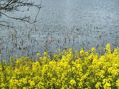 -东南大学(九龙湖校区)