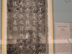 -辽宁省博物馆