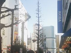 -秋叶原电器街