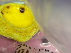 -沁园(新沙正街店)