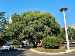 -上海兴国宾馆香樟园西餐厅
