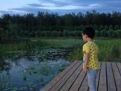 -东郊湿地公园
