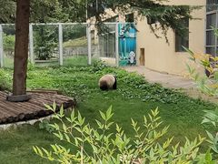 -西安秦岭野生动物园