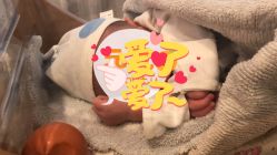 -杭州贝瑞斯美华妇儿医院·早孕·产检·儿科