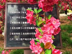 -海棠花溪(元大都城垣遗址公园)