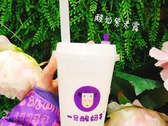 -一只酸奶牛(八一路店)