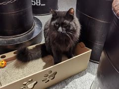 -奇门密室(五一新干线店)