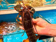 -鲜炉季港式打边炉(尚海湾店)